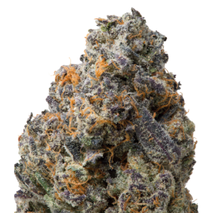 Blue Nerdz | 3.5