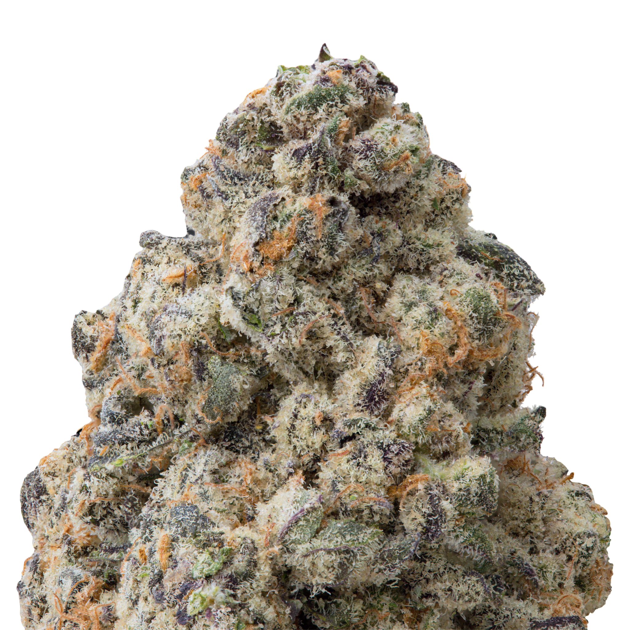 Candy Apple | 3.5