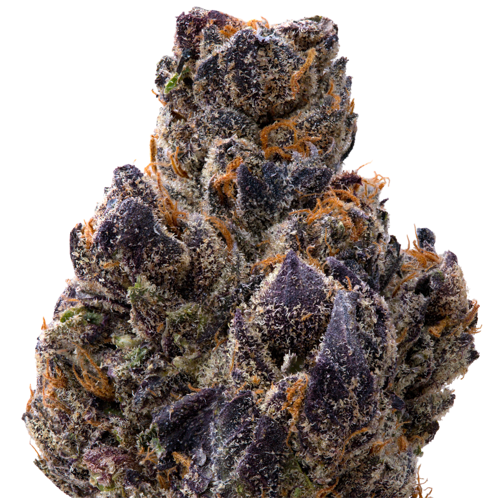 Crunchberry | 3.5