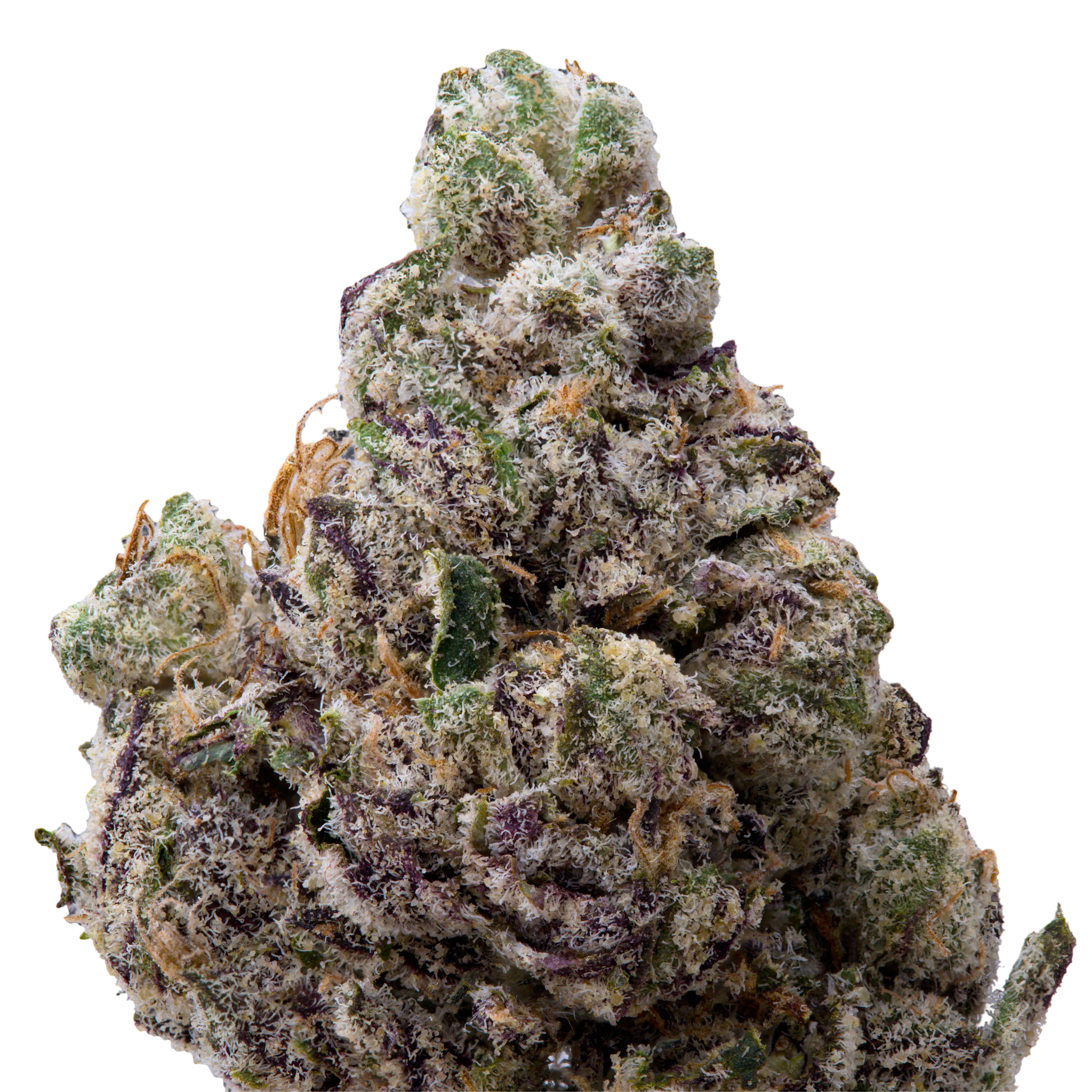 Obama Runtz | 3.5