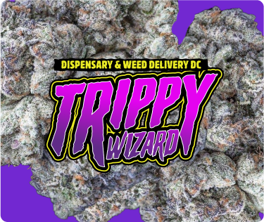 Trippy Wizard logo