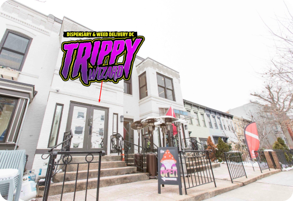 Trippy Wizard Washington DC